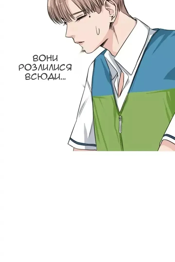 Сторінка 17