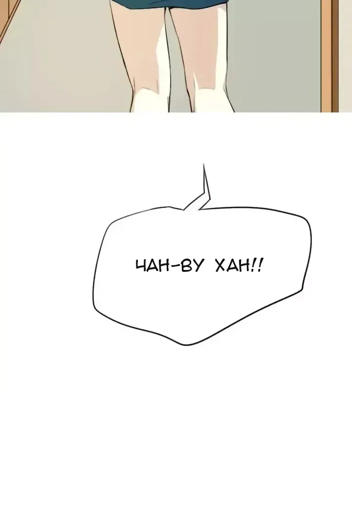 Сторінка 29