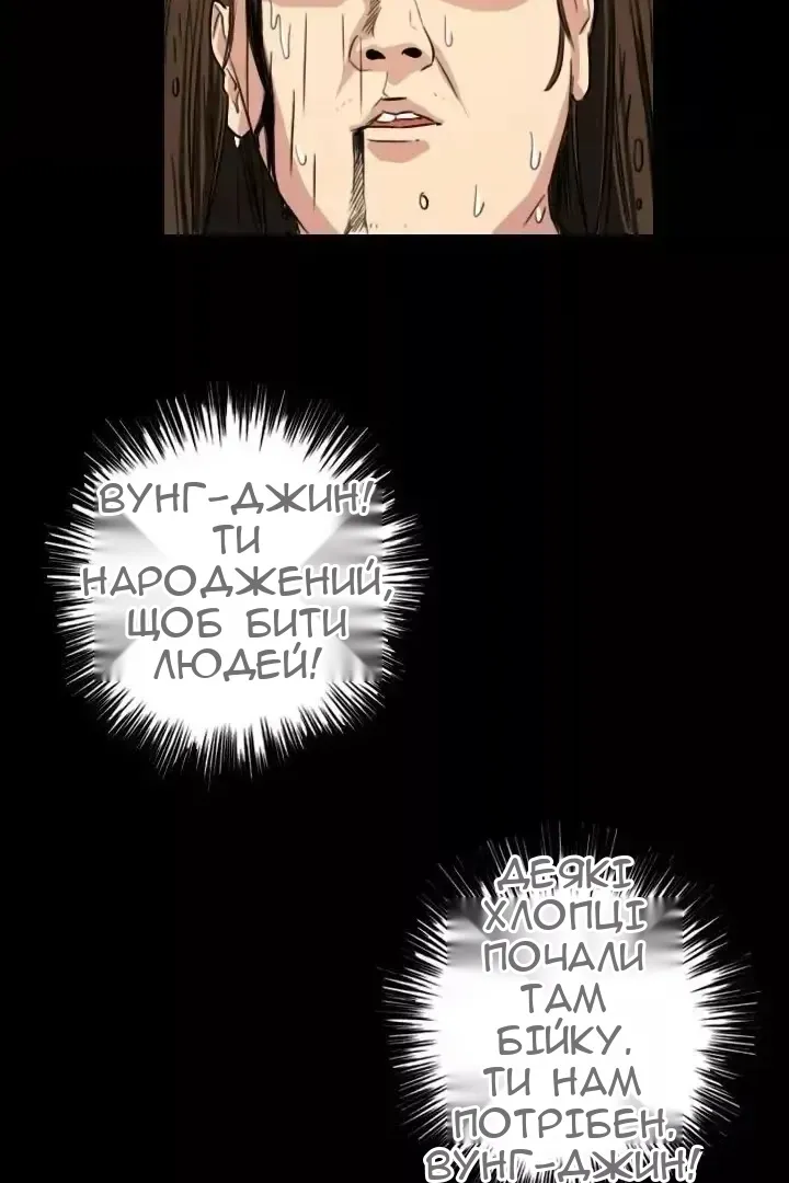 Сторінка 17