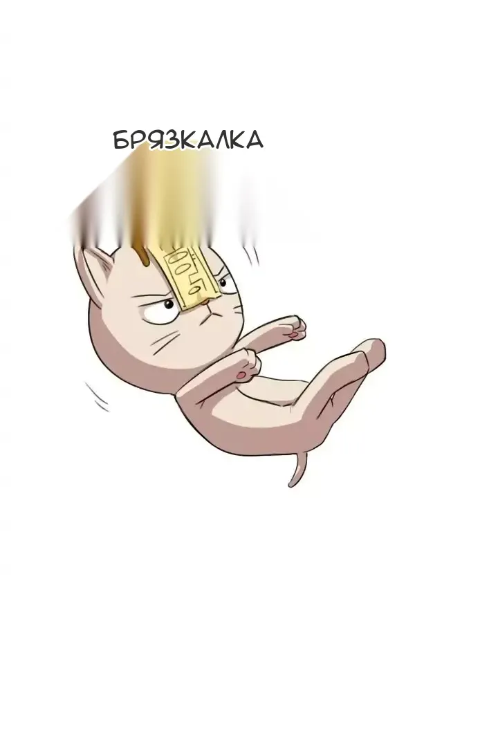 Сторінка 31