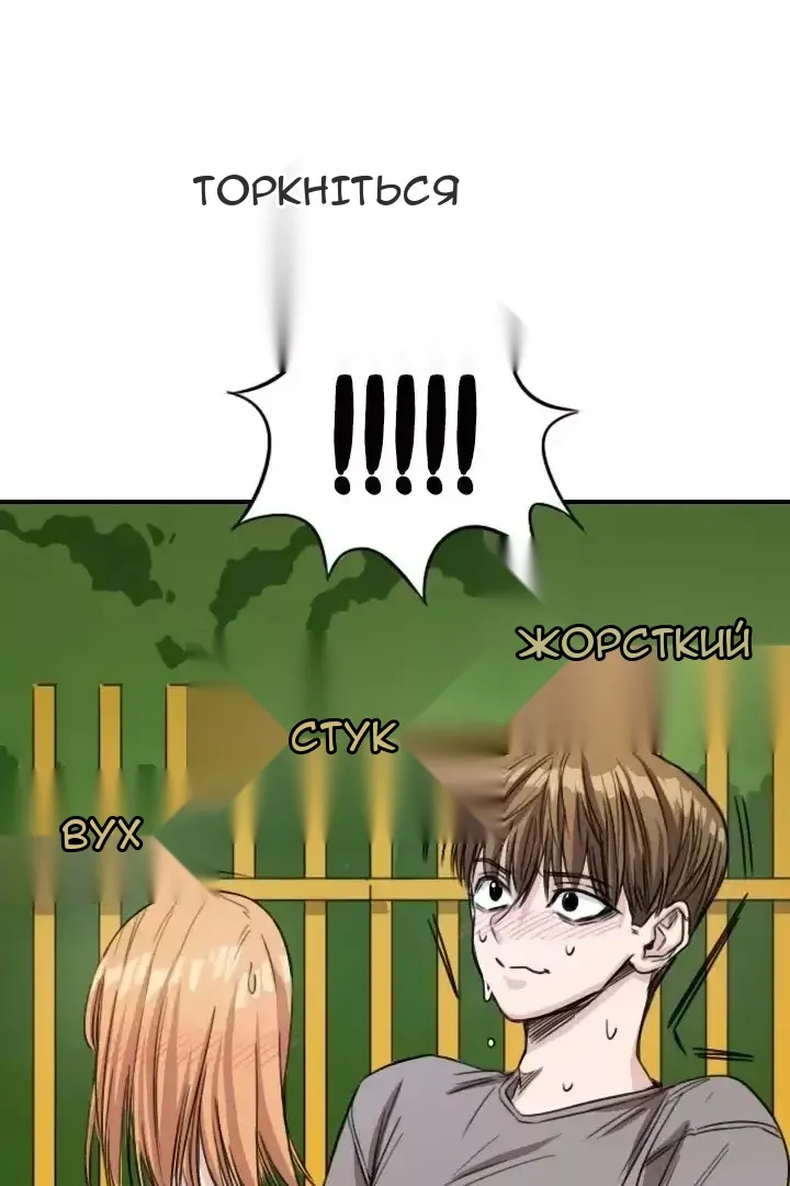Сторінка 6