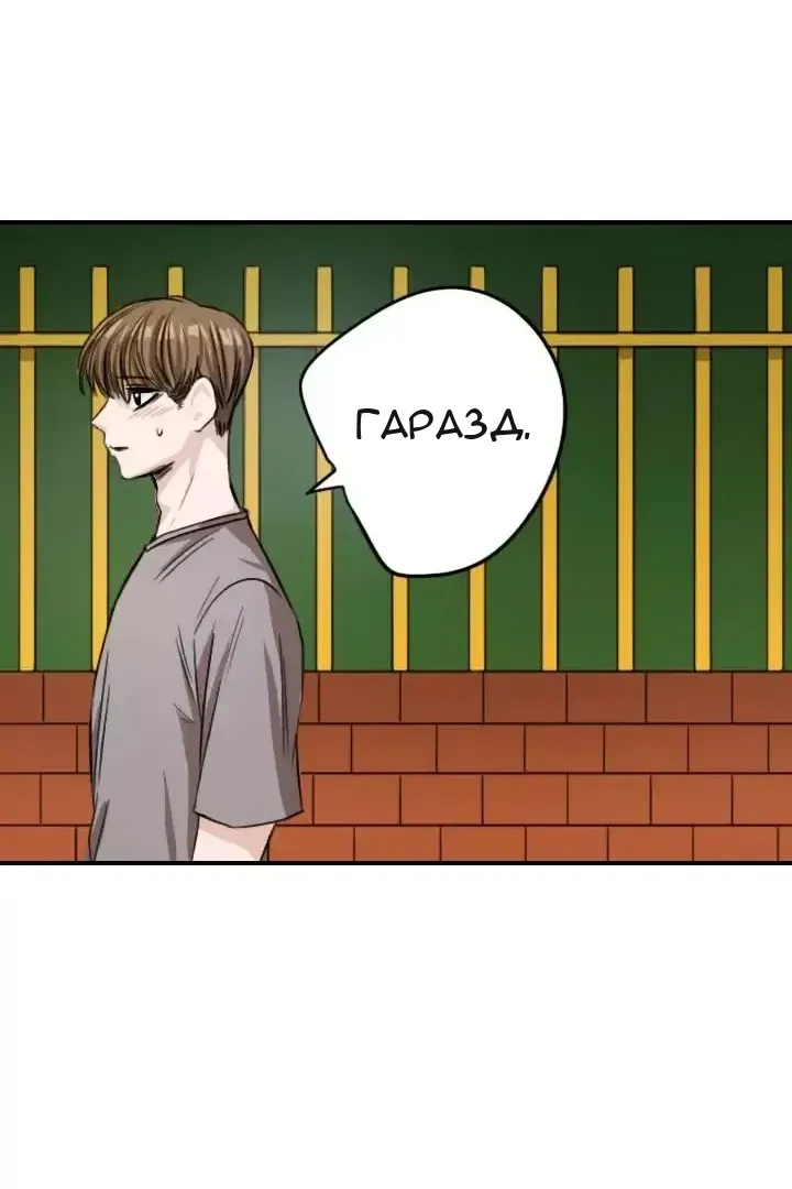 Сторінка 29