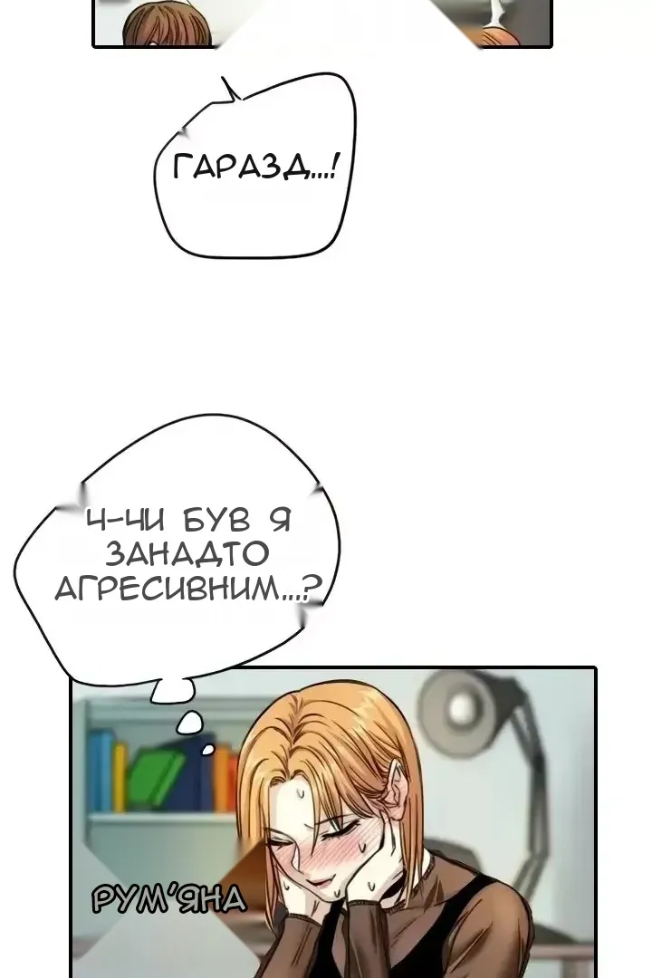 Сторінка 17