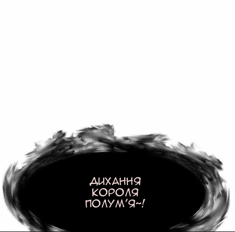 Сторінка 48