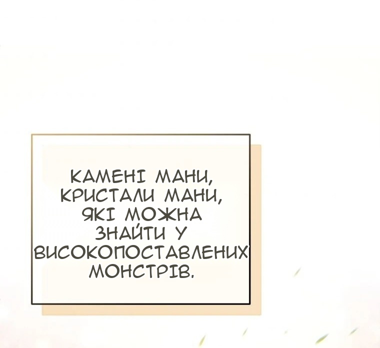 Сторінка 29