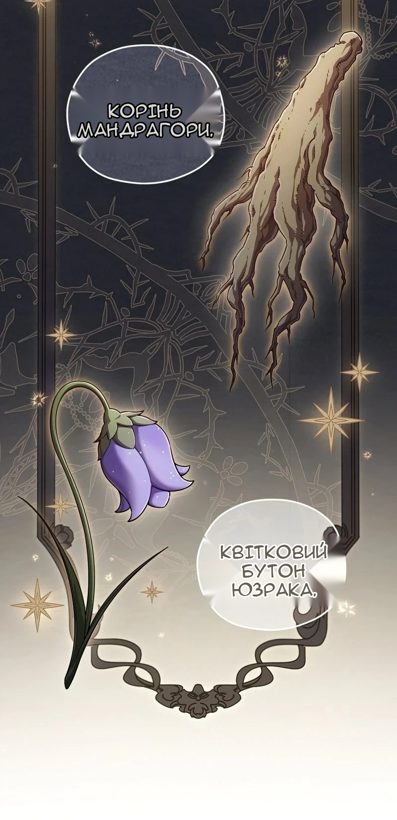 Сторінка 13