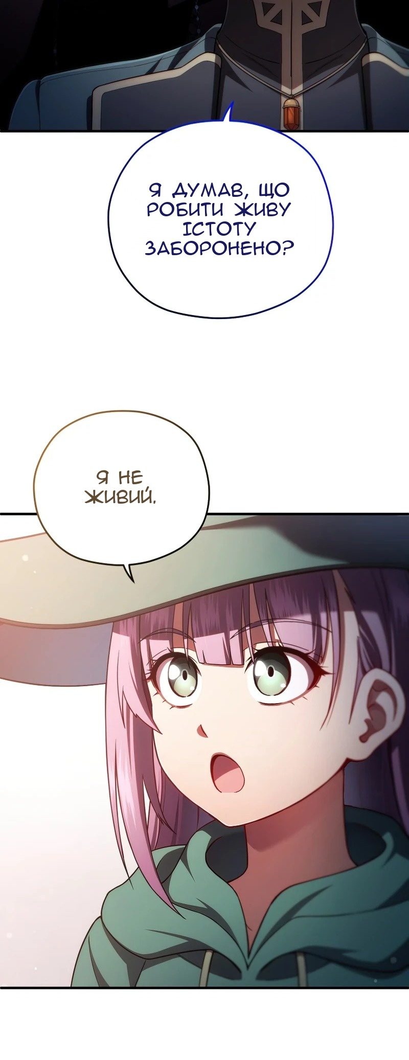 Сторінка 17