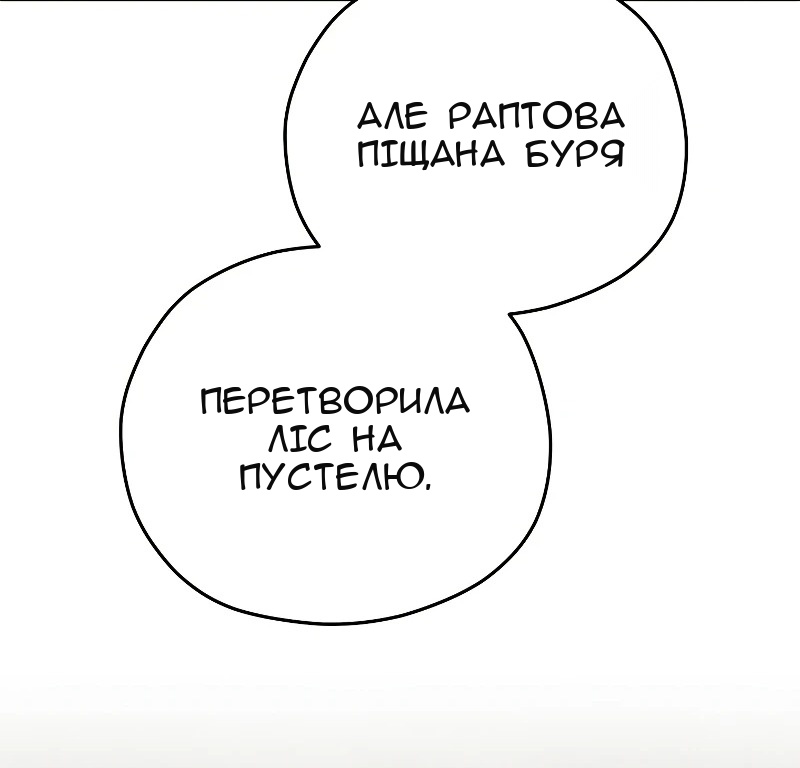 Сторінка 17