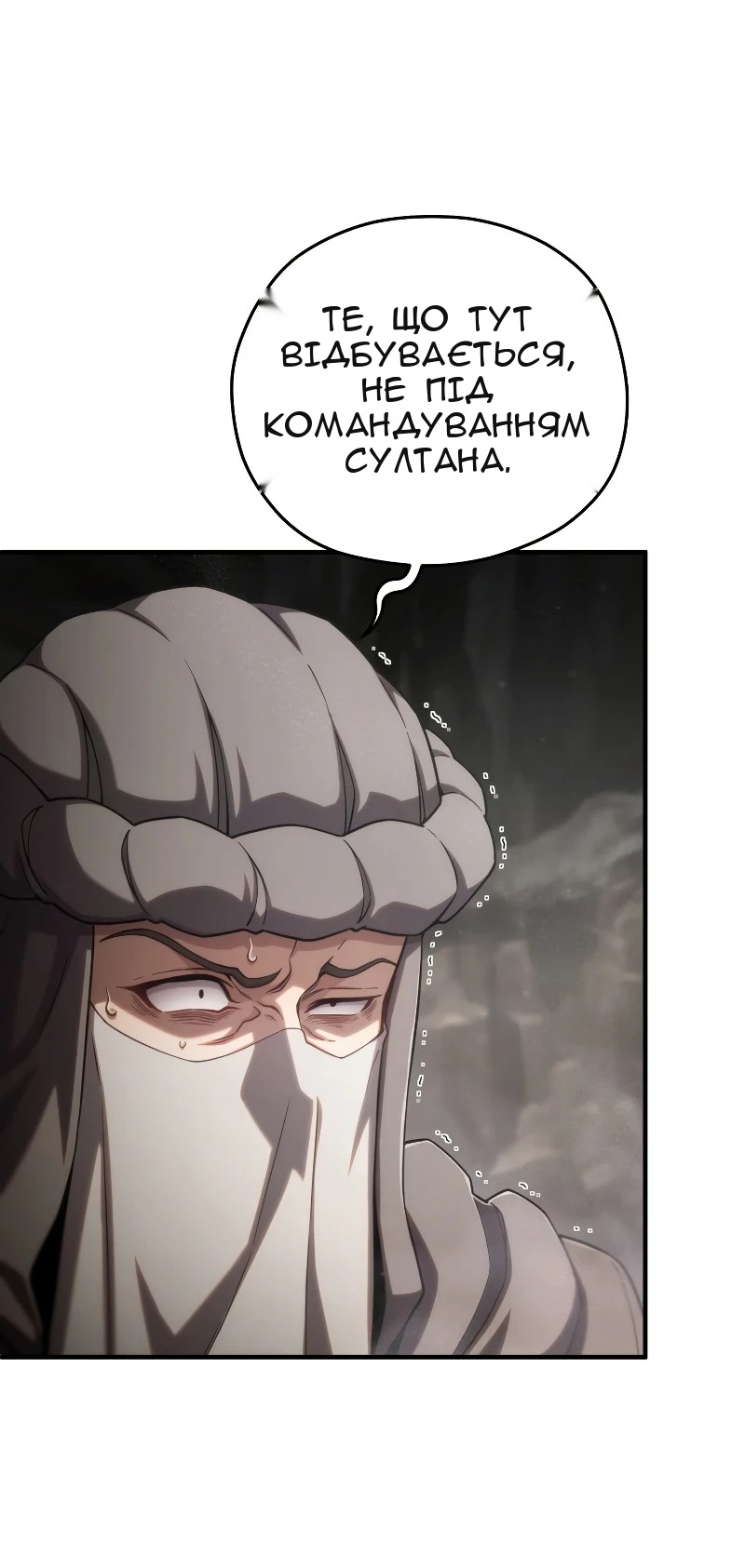 Сторінка 25