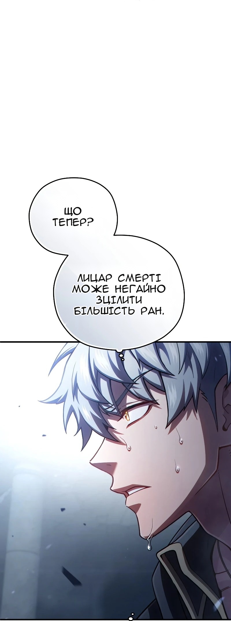 Сторінка 31