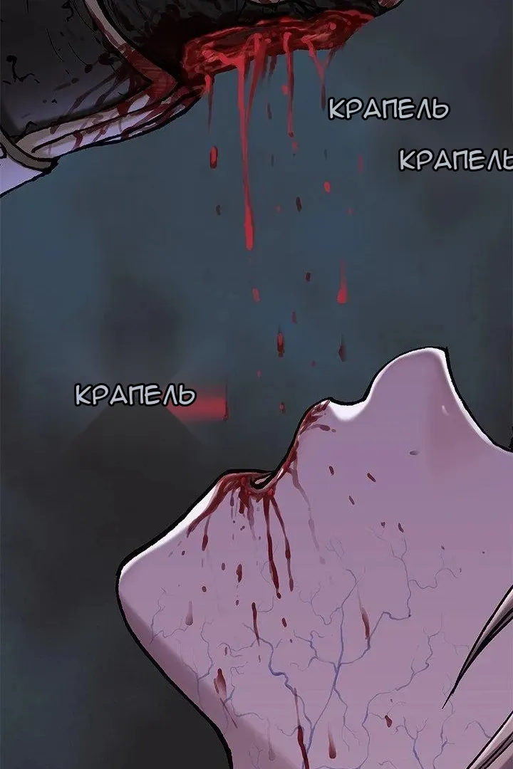 Сторінка 41