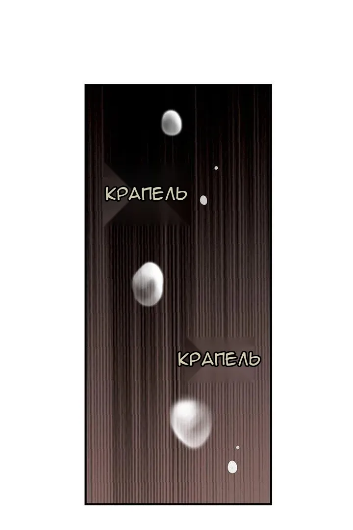 Сторінка 36
