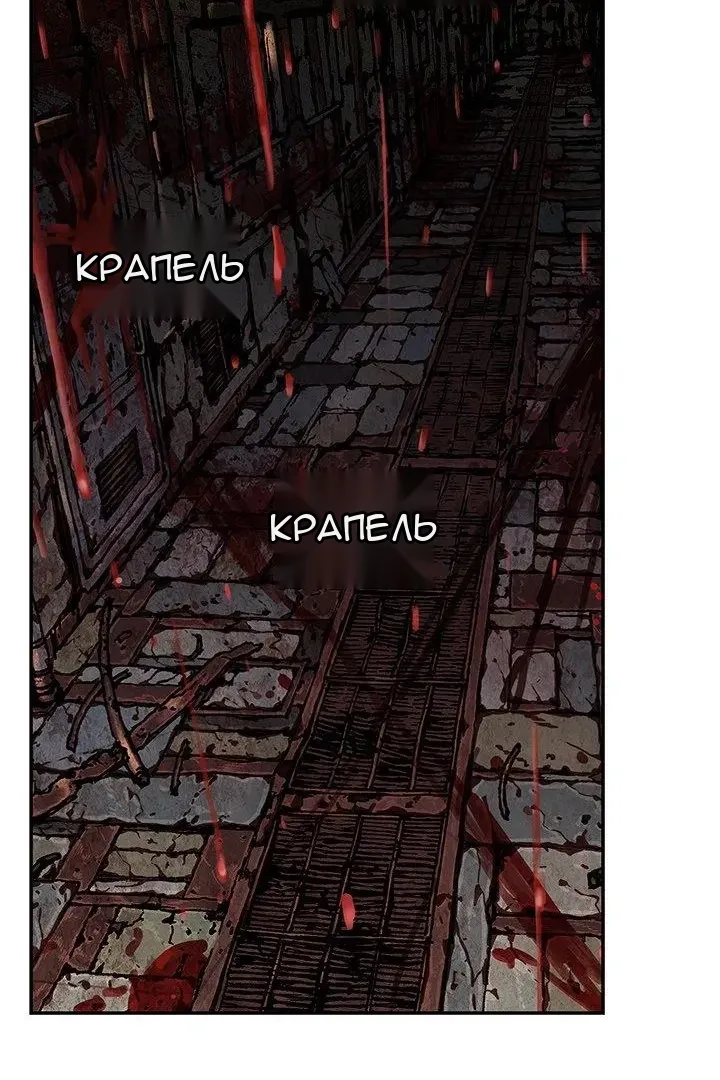 Сторінка 17