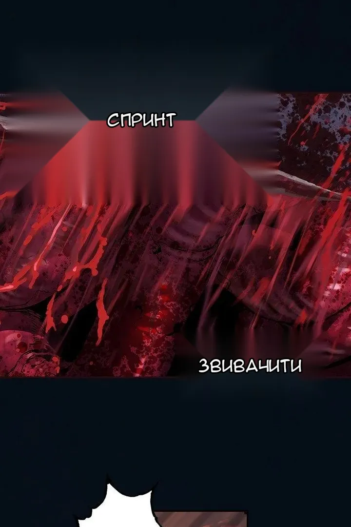 Сторінка 29