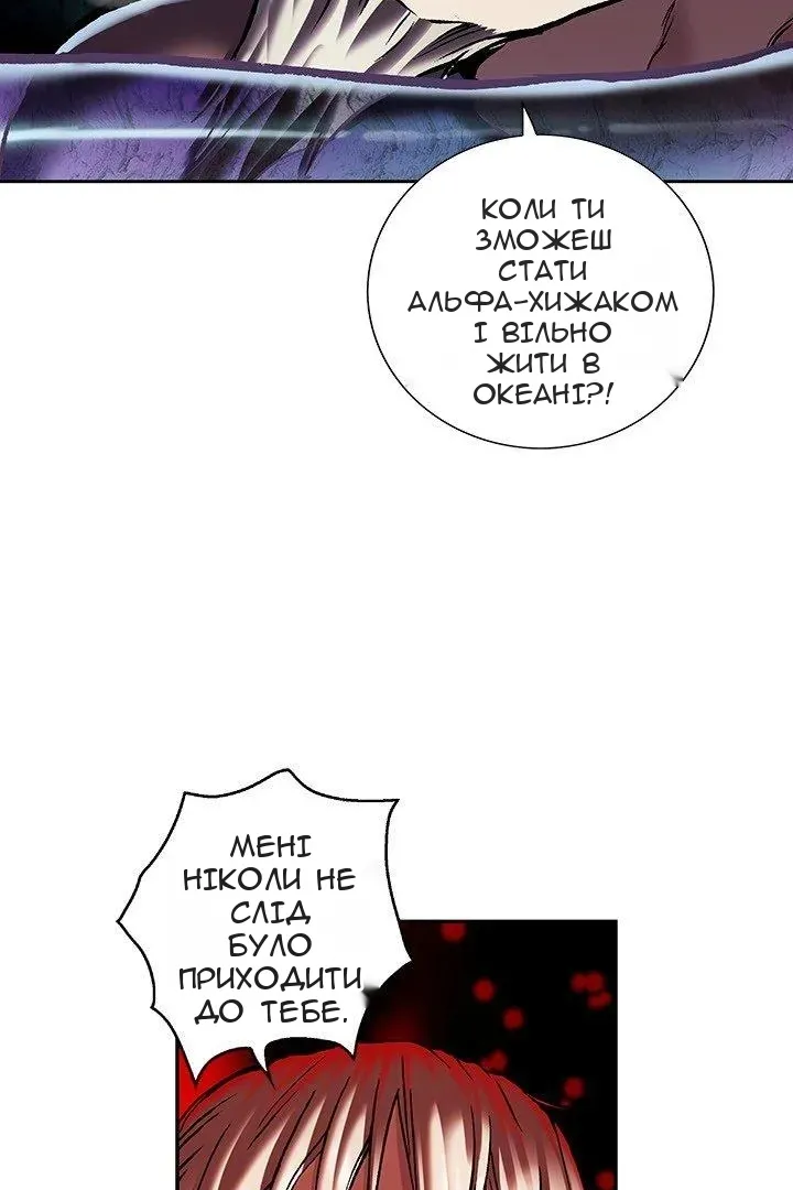 Сторінка 41