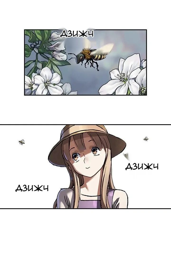 Сторінка 41