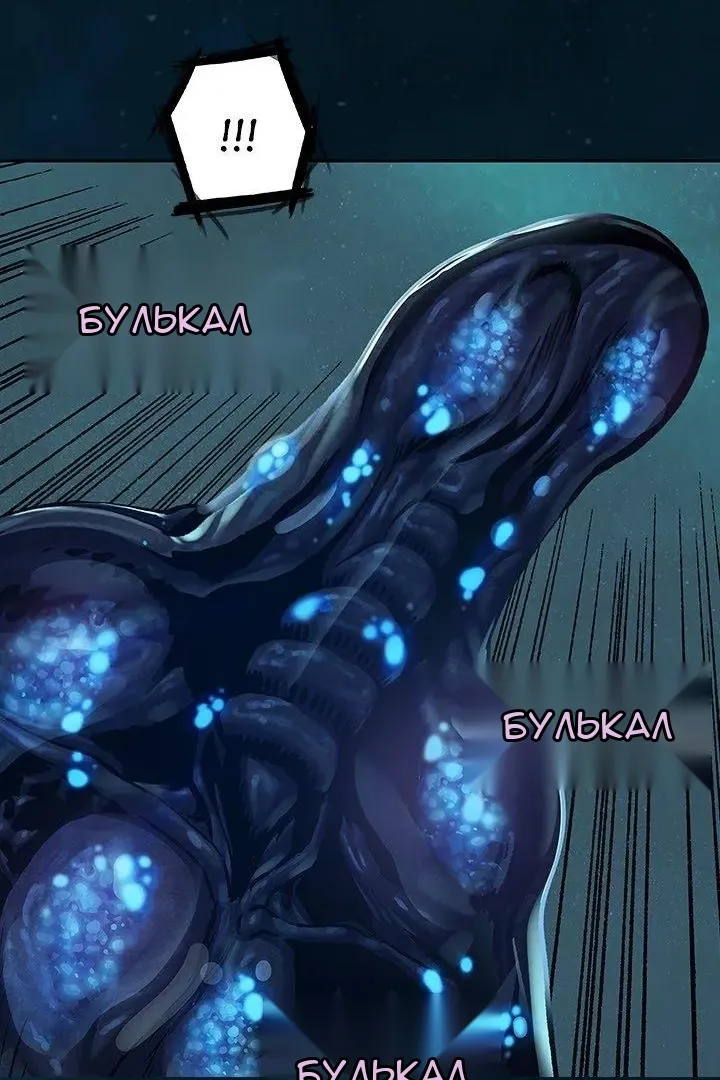 Сторінка 28