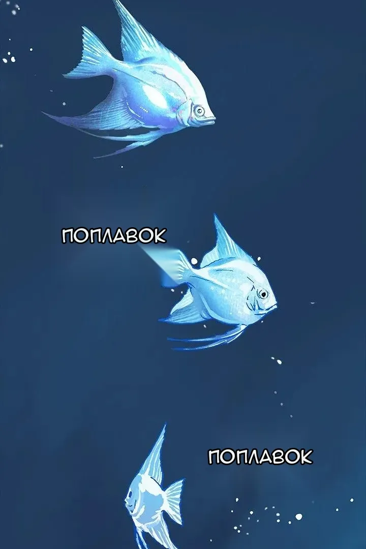 Сторінка 58