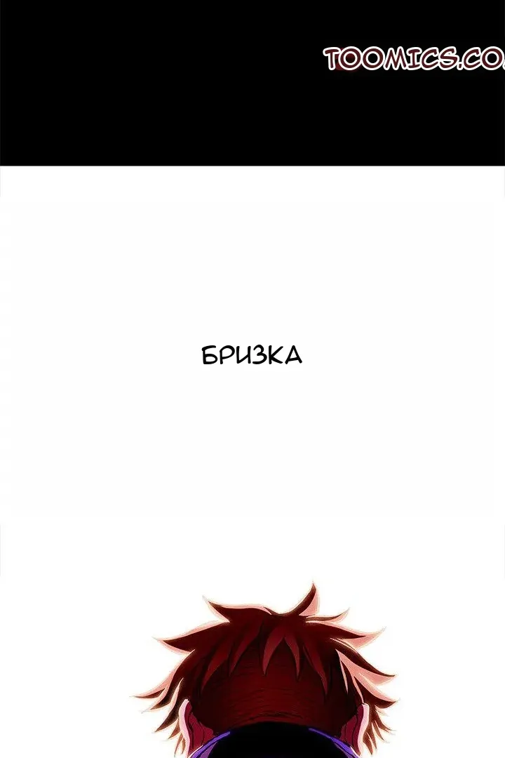 Сторінка 17