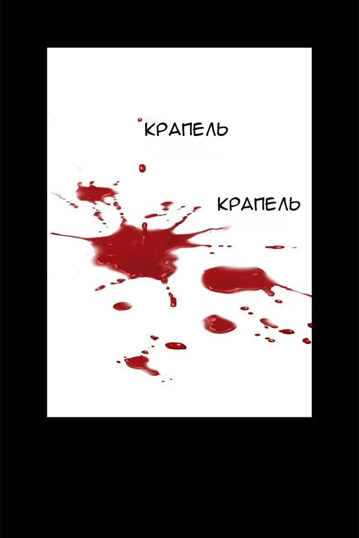 Сторінка 29