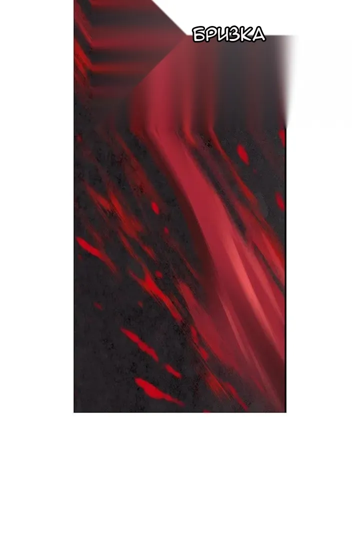 Сторінка 5