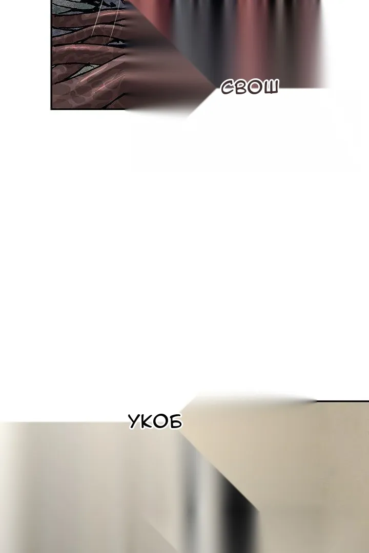 Сторінка 11