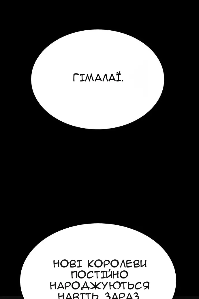 Сторінка 167