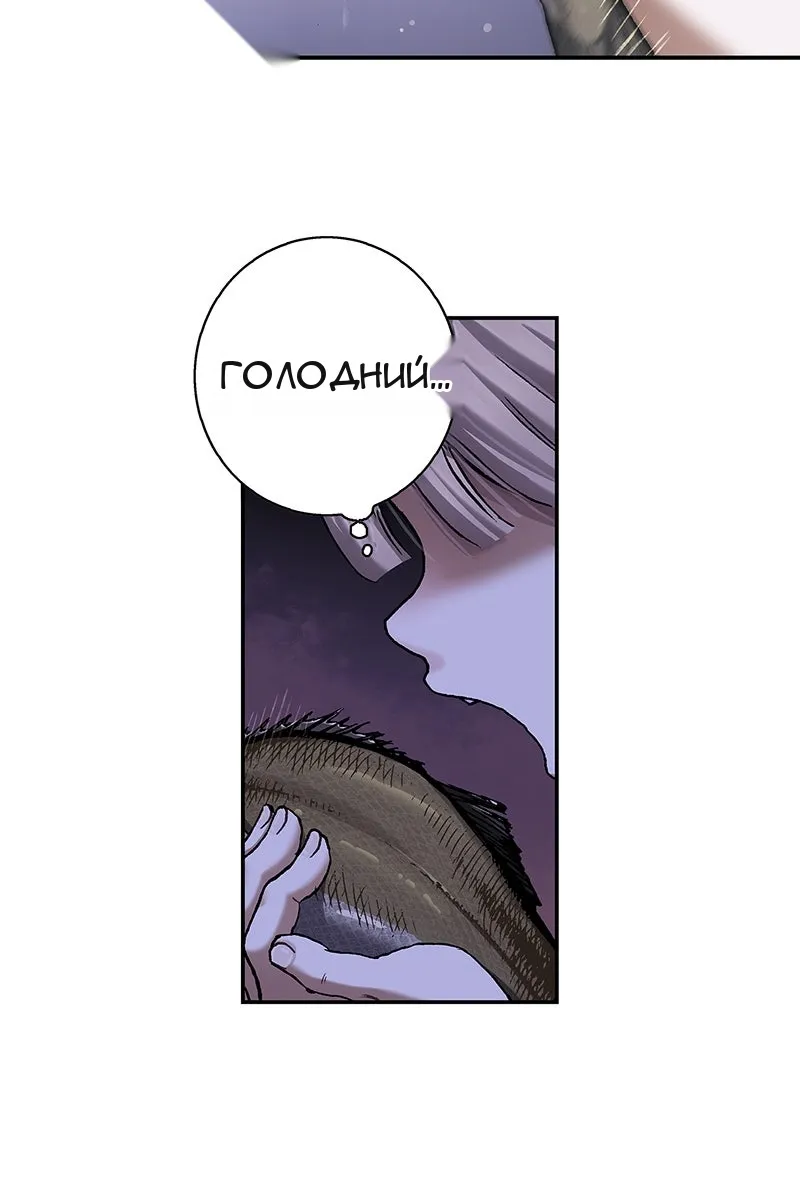 Сторінка 56