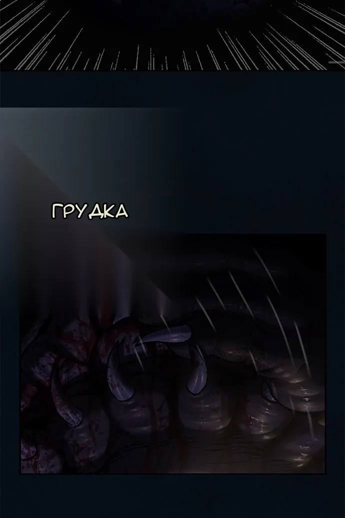 Сторінка 28
