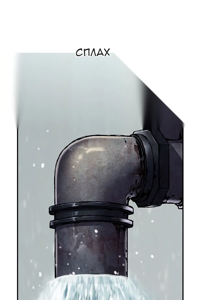 Сторінка 41