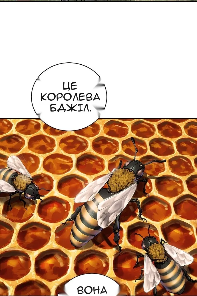 Сторінка 43