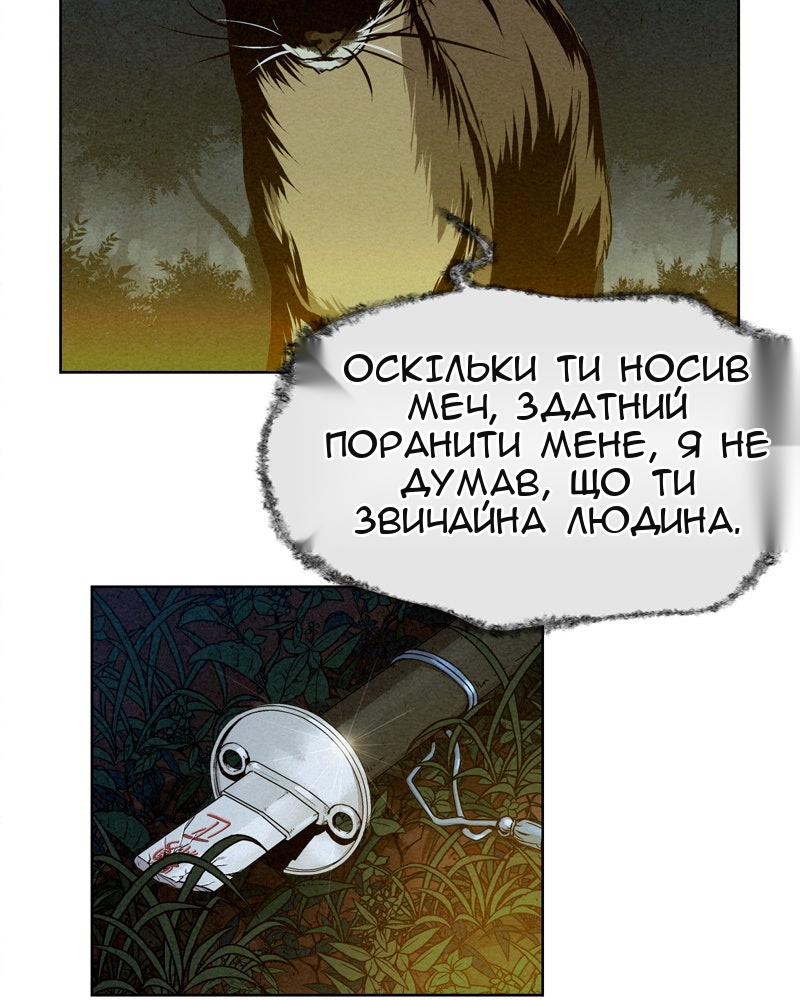 Сторінка 41