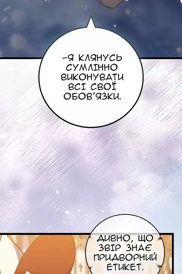 Сторінка 31