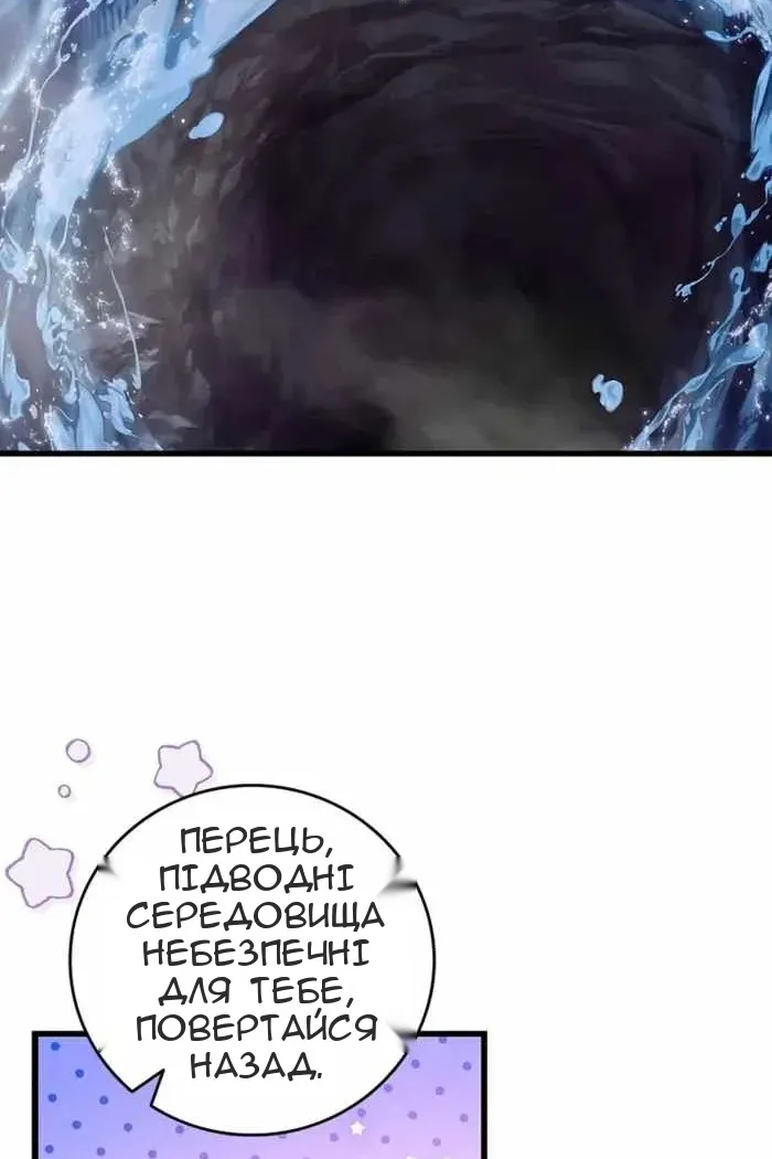 Сторінка 114