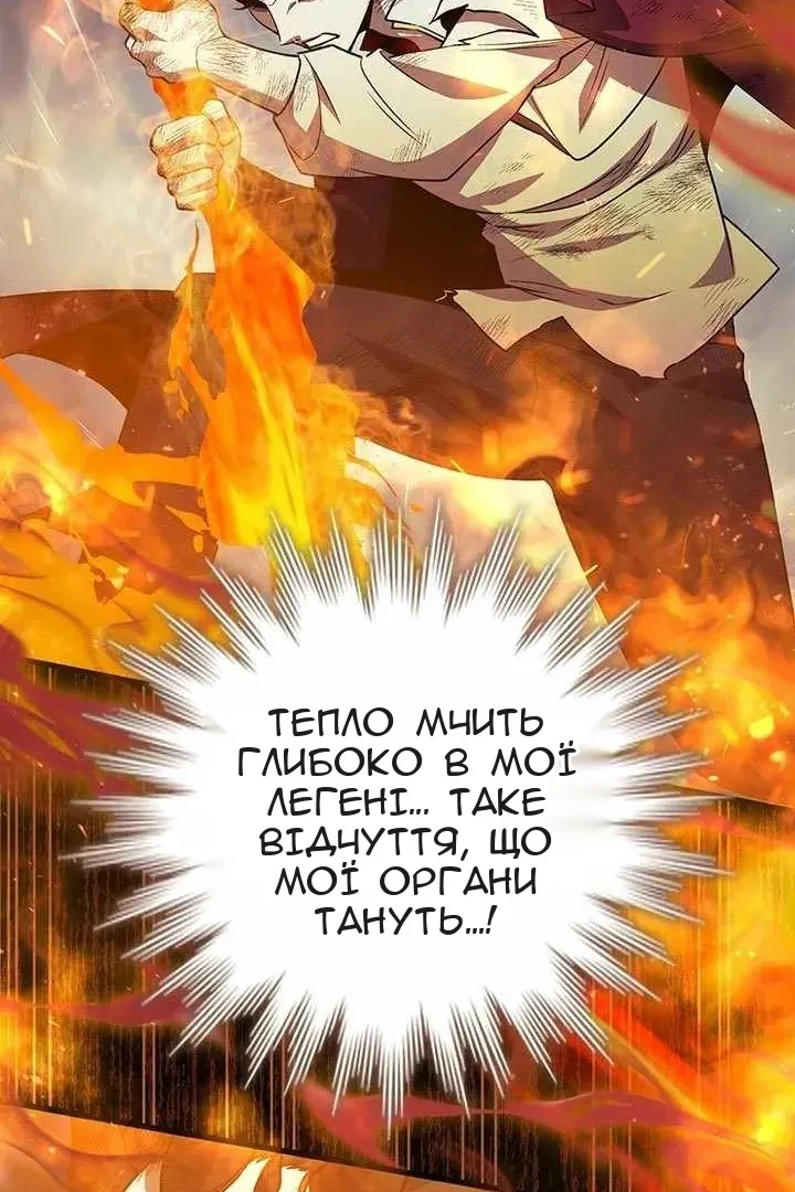 Сторінка 31