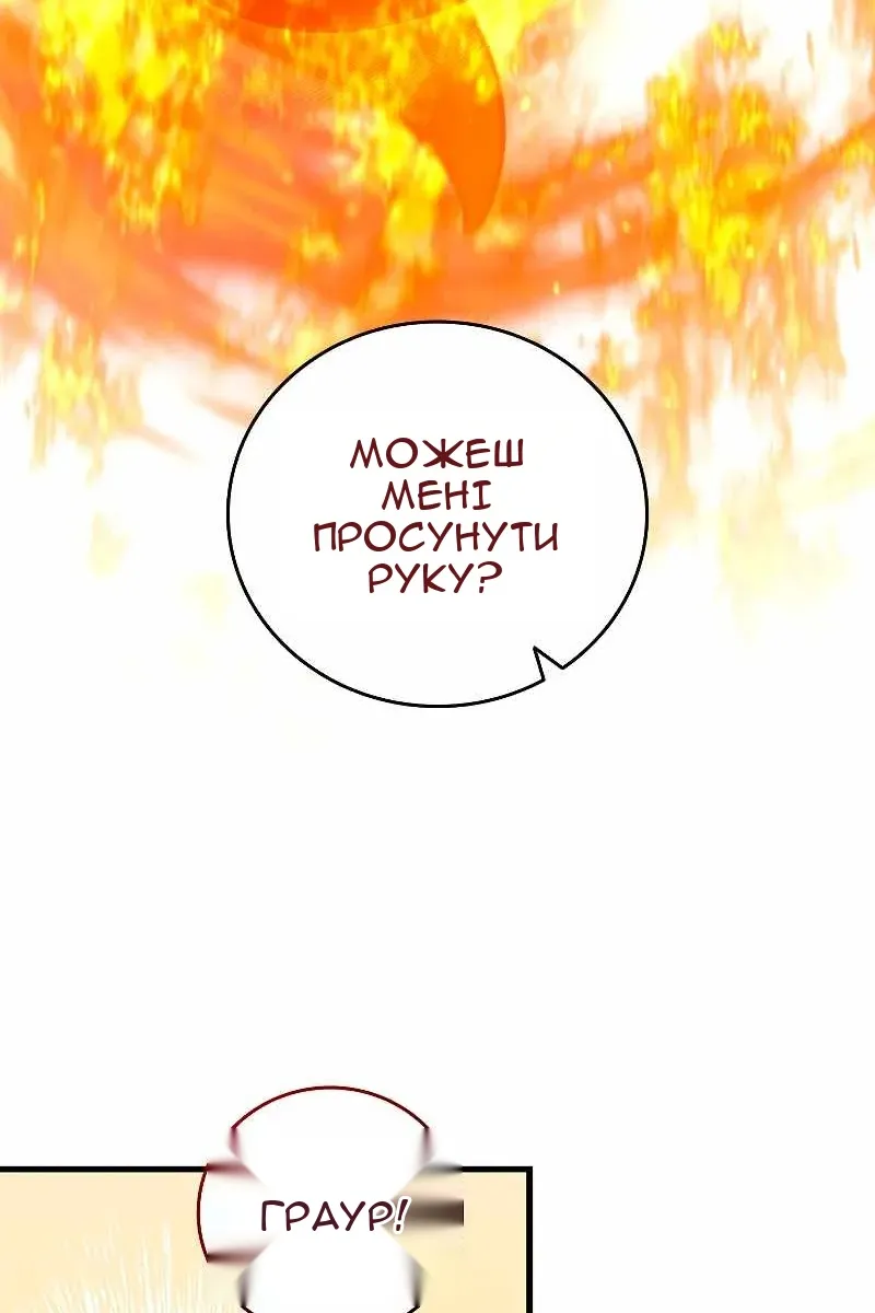 Сторінка 40