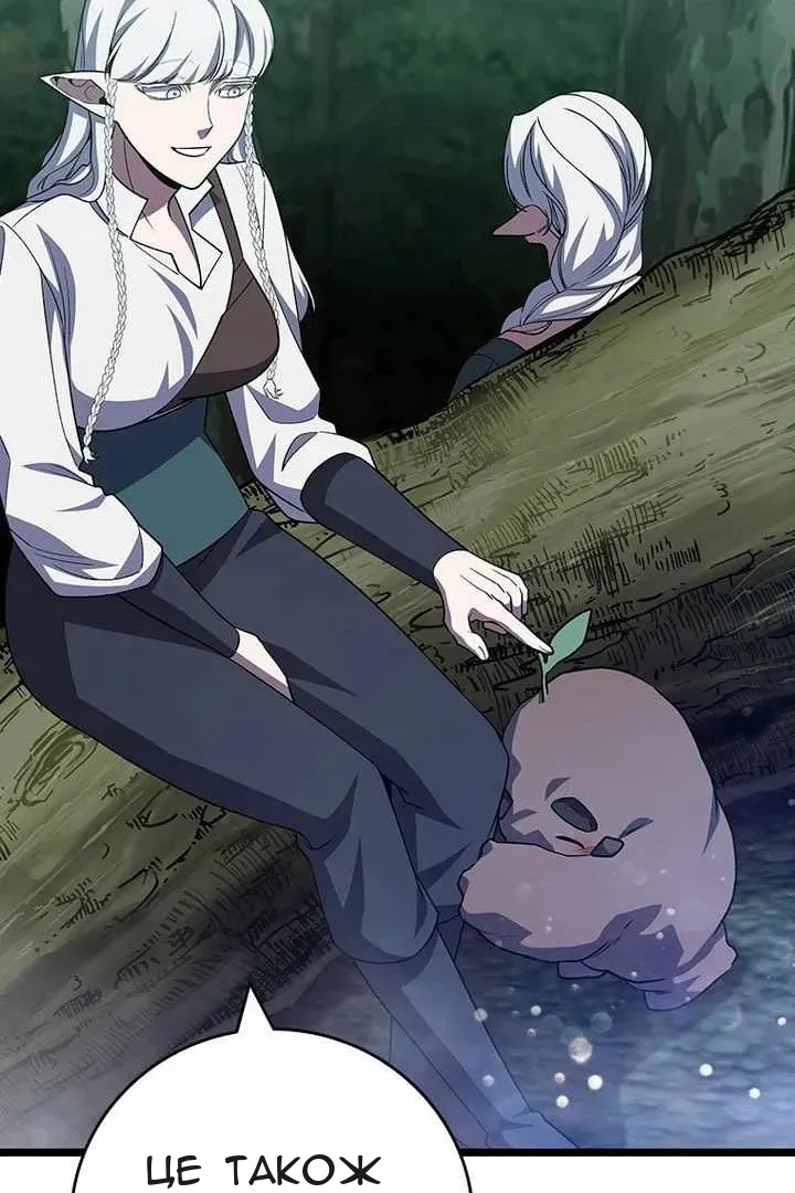 Сторінка 47