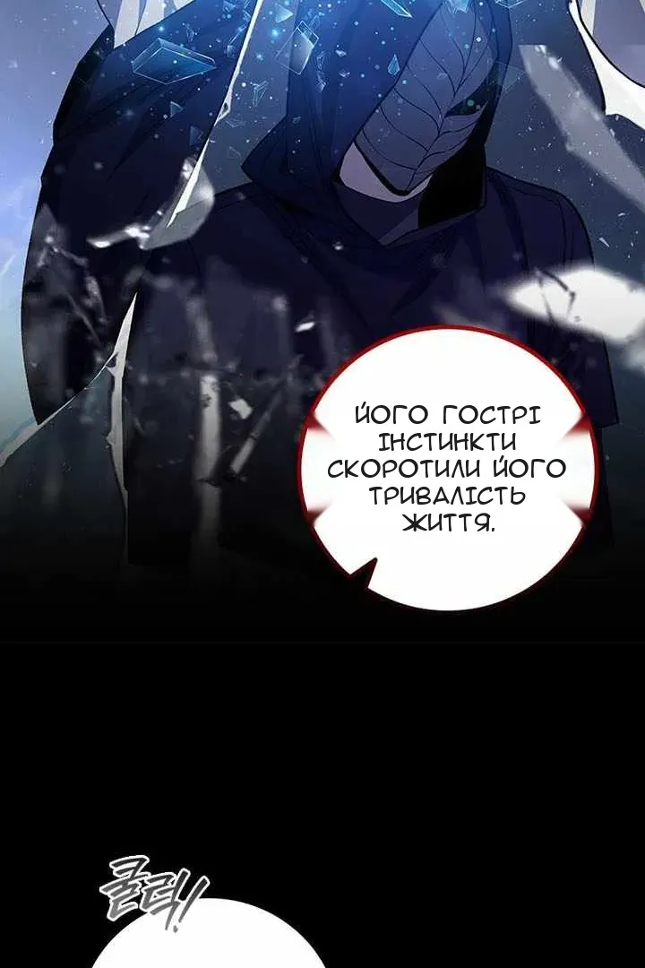 Сторінка 13