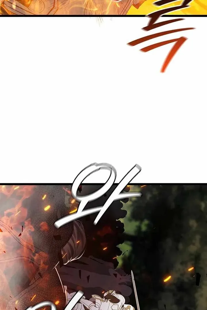Сторінка 13