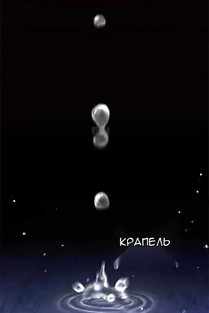 Сторінка 3