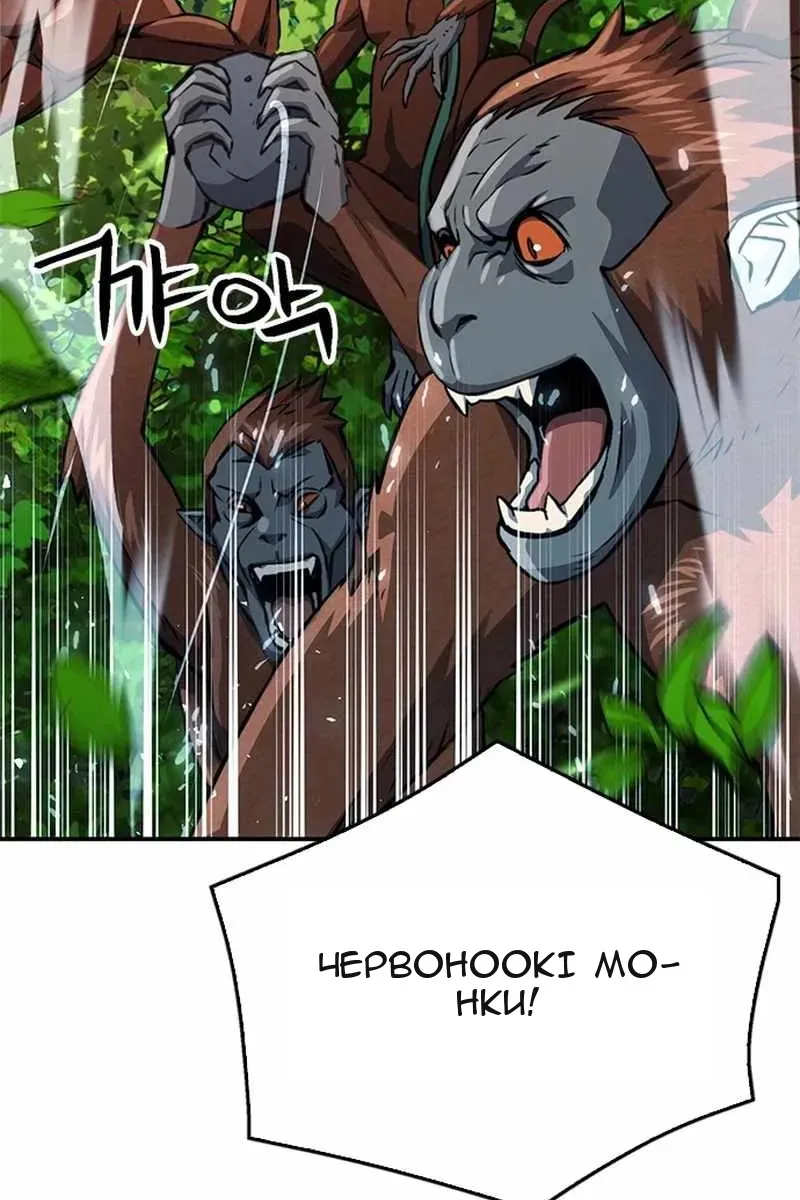 Сторінка 17