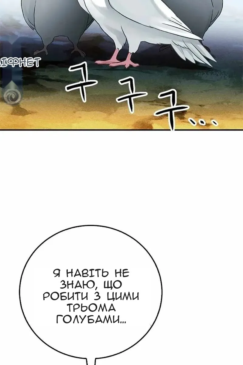 Сторінка 24