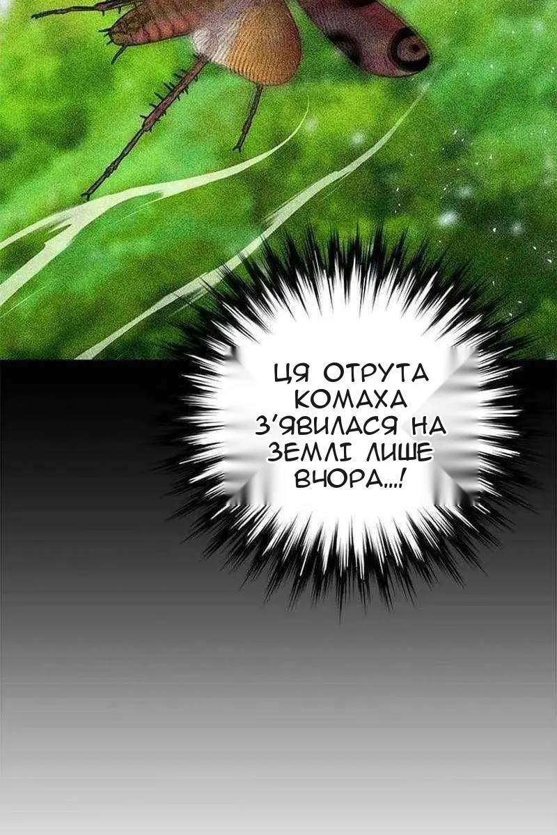 Сторінка 31