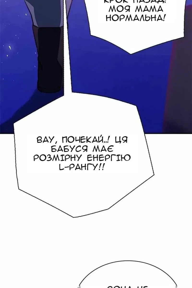 Сторінка 29
