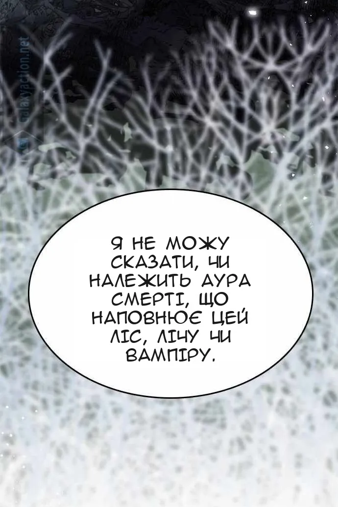 Сторінка 13