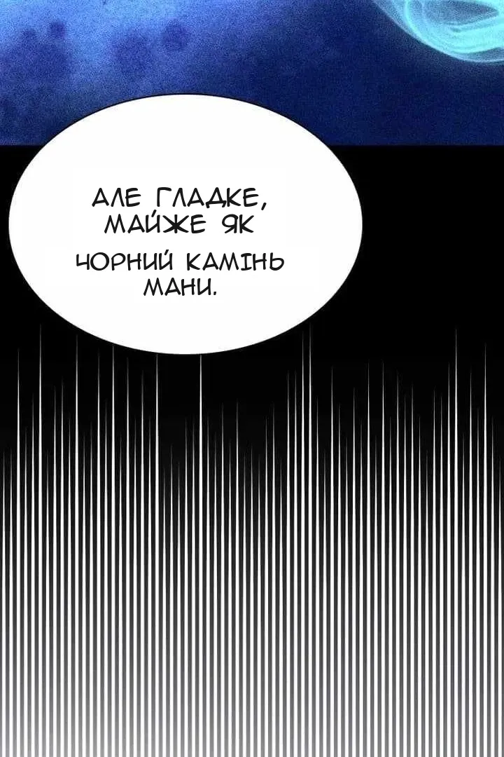 Сторінка 111