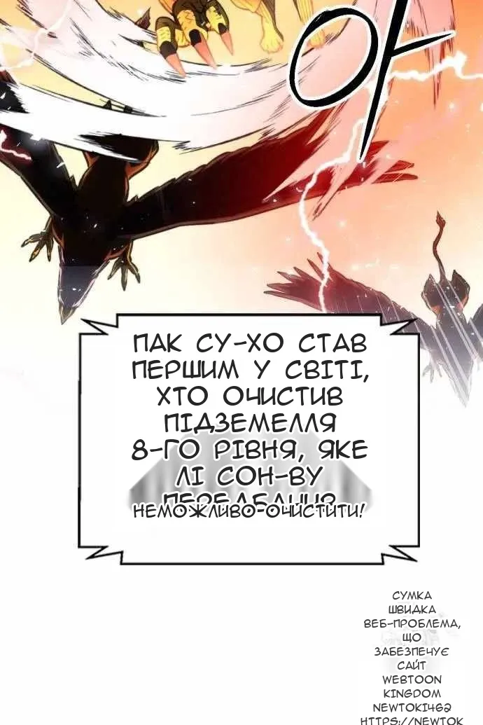 Сторінка 17