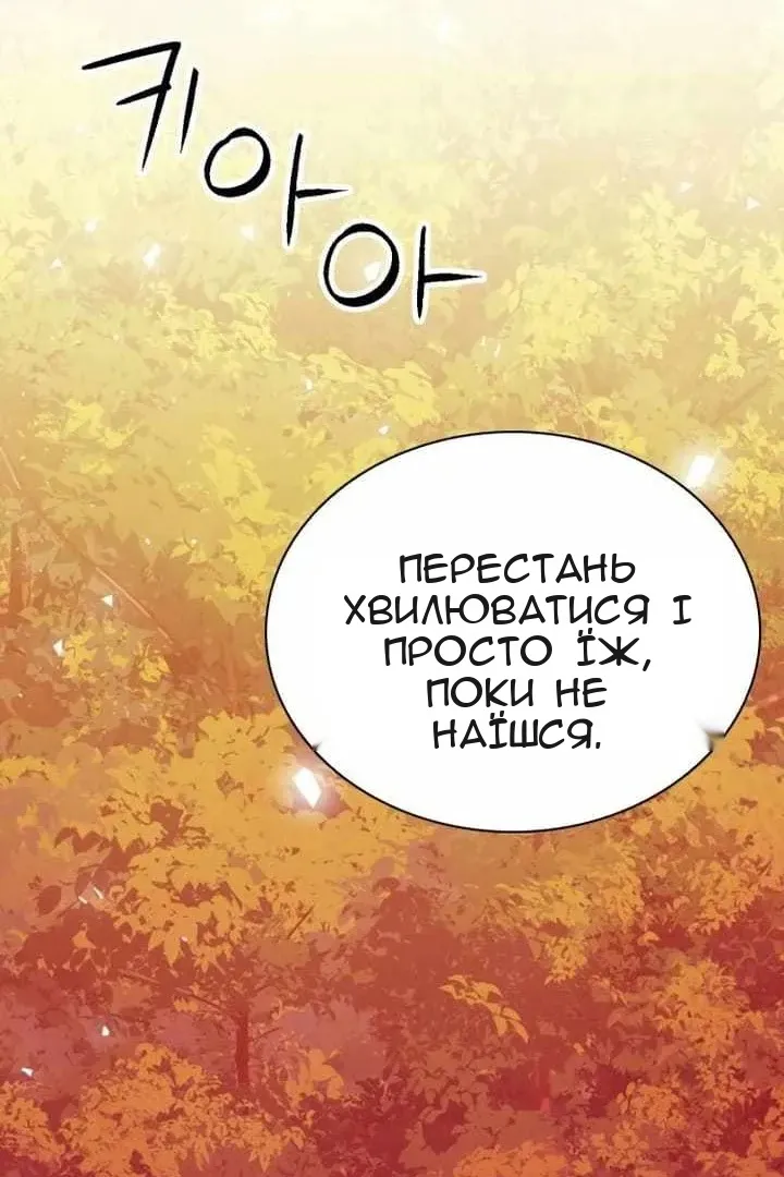Сторінка 27
