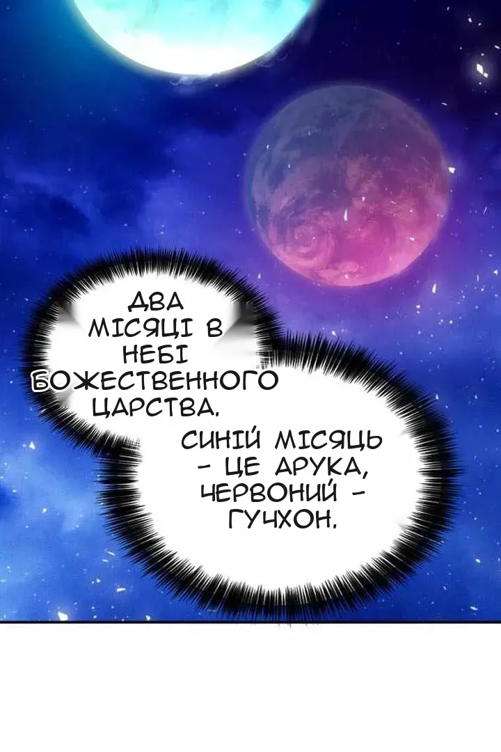Сторінка 111