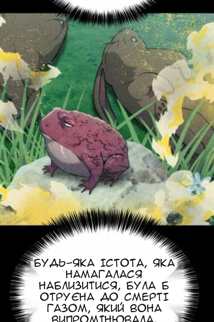 Сторінка 5